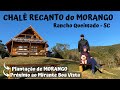 CHALÉ RECANTO do MORANGO em RANCHO QUEIMADO - SC | EMBARQUE NESSA AVENTURA | EP.045