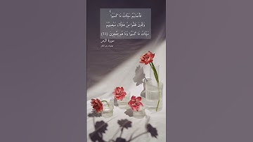آية ٥١ "فأصابهم سيئات ما كسبوا والذين ظلموا"  من سورة الزمر | سامحوا واصفحوا على من ظلمكم