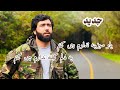 یار سبزینه ندارم چی کنم به دلم کینه ندارم چی کنم صوفی شعیب Sofi Shoib