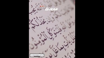 Surah An-Nur (Full Surah) | Relax Your Heart & Soul وروحك | سورة النور (كاملة) | أرح قلبك وسمعك