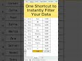 Excel Secrets: 3 Tricks to Make You Look Like a Pro #ExcelShortcut #FilterData #short #excel #trick