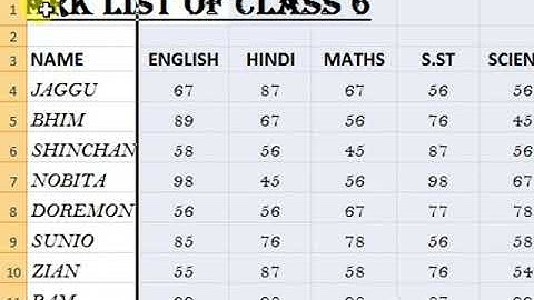 FORMATTING WORKSHEET IN MS EXCEL