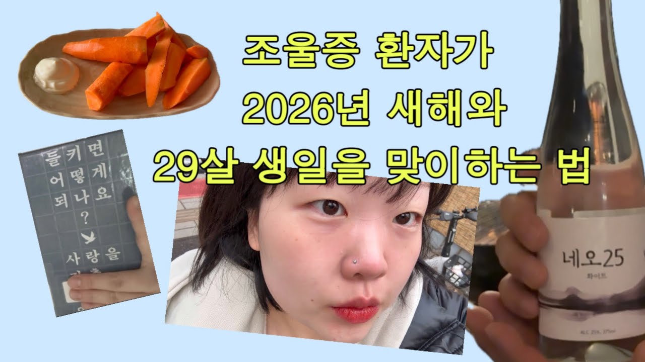 조울증 환자가 새해를 맞이하는 법 | 우울증 브이로그 | 조울증 브이로그 #ADHD