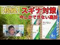 スギナを根絶する為の除草剤カソロンがお勧め