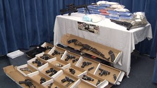 Guns, drugs seized in bust