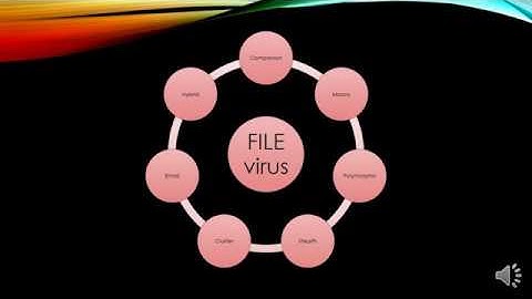 ICSE Class 7 Chapter 3 Computer Virus