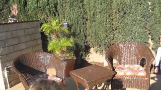 Jack and Ben Easter 2014