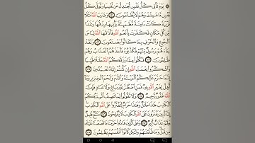 ماهر المعيقلي سورة النحل مكتوبة صفحة 280 مصحف المدينة المنورة جودة عالية
