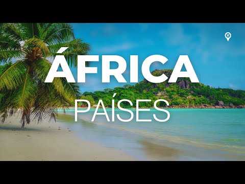 Vídeo: 8 dos melhores destinos de mergulho na África