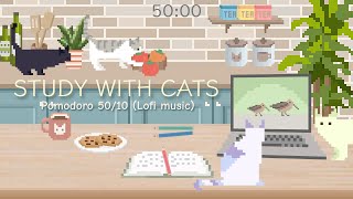 Study with Cats 🍅 Pomodoro timer 50/10 x Animation | Studying at the kitchen table ♡ | Lofi music by Pomodoro Cat 89,634 views 7 months ago 1 hour