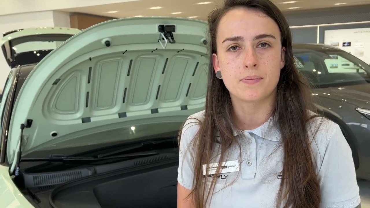 Concessionária Globo GEELY -São José SC