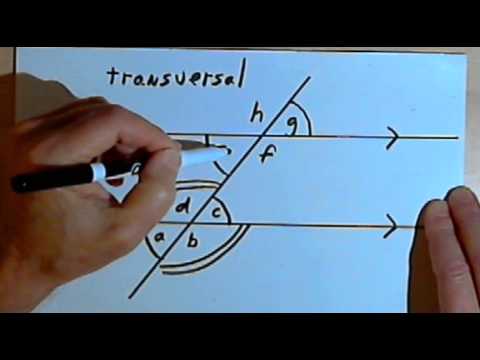 Angles Formed by Parallel Lines and a Transversal 128-2.10