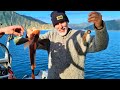 Hunting & Fishing ~ D'Urville Island in New Zealand
