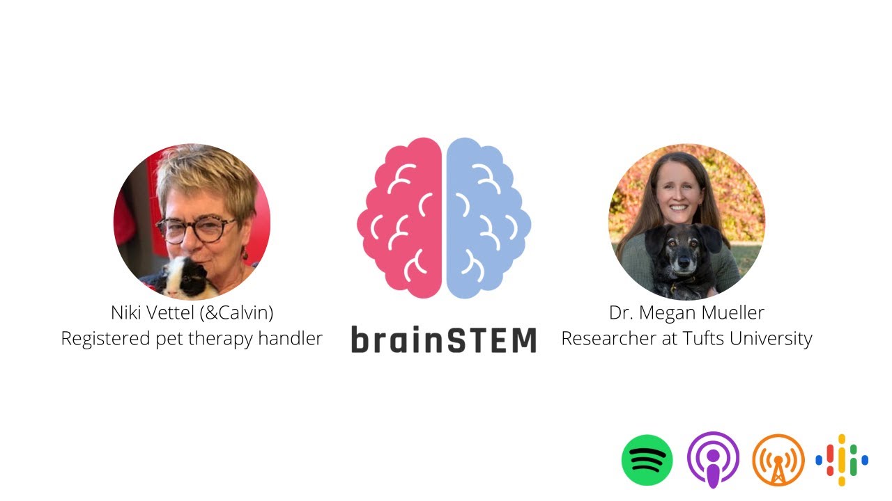BrainSTEM Podcast Episode: Human Animal Interactions and Mental Health