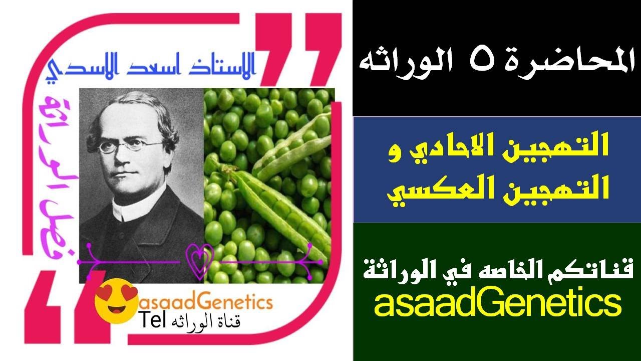 الوراثه احياء السادس الاحيائي/المحاضره ٥ / الاستاذ اسعد الاسدي