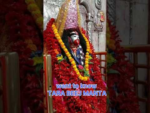 MAA TARA BEEJ MANTRA HEAL NEGATIVITY Bhakti Bhajan Sagar Spritual Activity
