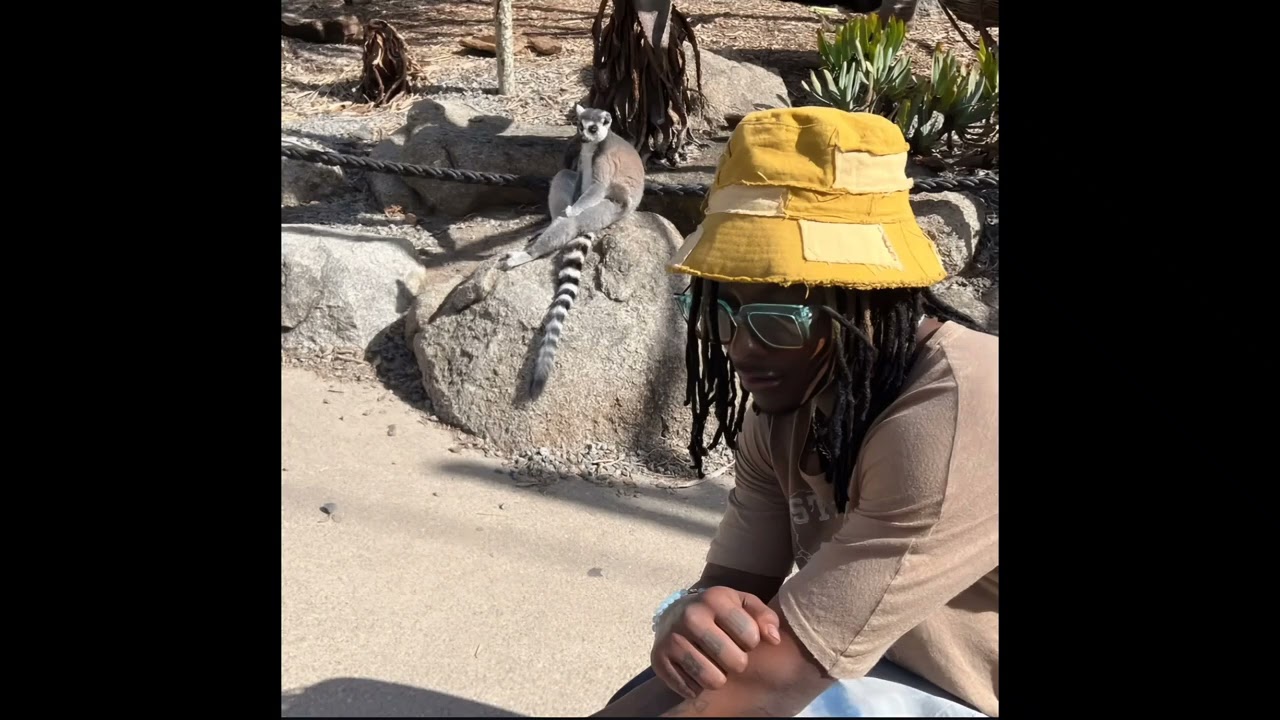 Unotheactivist - Not in my prime (Unreleased)