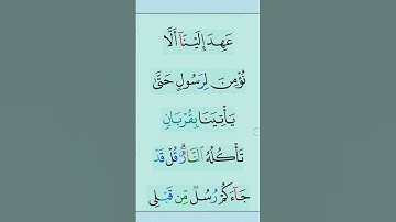 القران الكريم #مقاطع_دينية #تلاوة_خاشعة #duet #المصحف #دعاء #ذكر_الله #الرحمن #تدبر_القرآن #القزابري