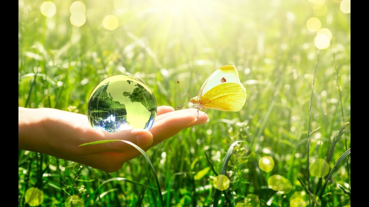 مدرسة الأنوار الخاصة-خرجة ترفيهية إلى قرية الأحلام-DREAM VILLAGE