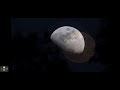Forces of Attraction and Repulsion in Gravity and Magnetism
