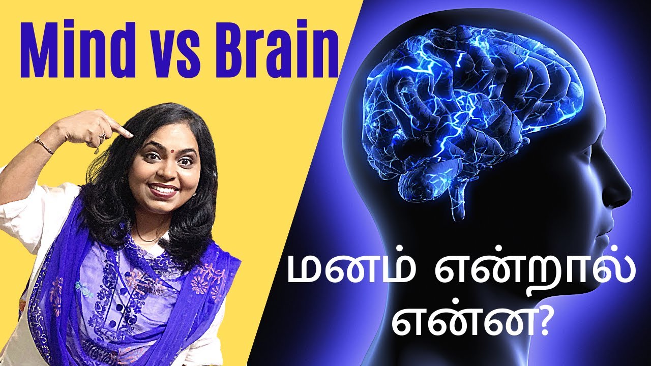 Brain Vs MIND In Tamil Where Is My MIND In brain-vs-mind-in-tamil-where-is-my-mind-in