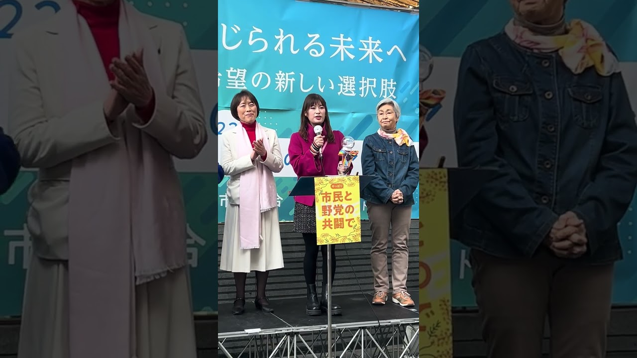 菱山南帆子 市民と野党の共同アクション