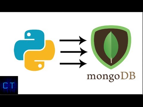 Insert data to MongoDB using Python script
