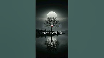 تلاوة هادئة من فضيلة الشيخ ياسر الدوسري