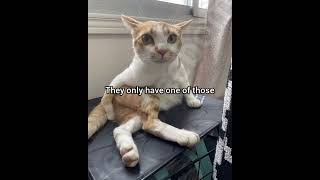 Dont Break Someones Heart