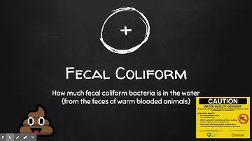 Fecal Coliform - Water Quality Monitoring