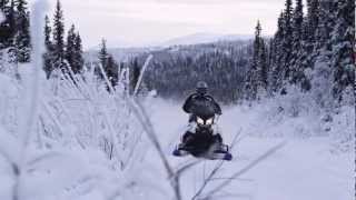 Lynx Crossover Sleds 2014