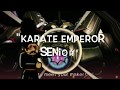 &quot;Karate Emperor Senior&quot; (Rhythm Heaven Megamix x Sonic Heroes)