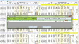 Visual Options Analyzer: Trading panel using