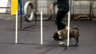 Intermediate 2 Agility Class: Week 4!