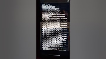 Mayor of Tampa Hacked Cross Site Script xss cybercrime Florida HTML CSS 20191020 iPhone iOS Android