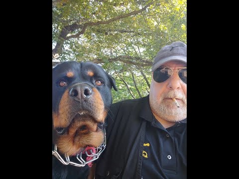 ქ.მ.ძ. - ქალაქის მართვადი ძაღლი / У.Г.С. - Управляемая Городская Собака.