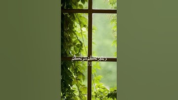 تلاوة هادئه تريح الأعصاب 😴🎧القارئ إسلام صبحي