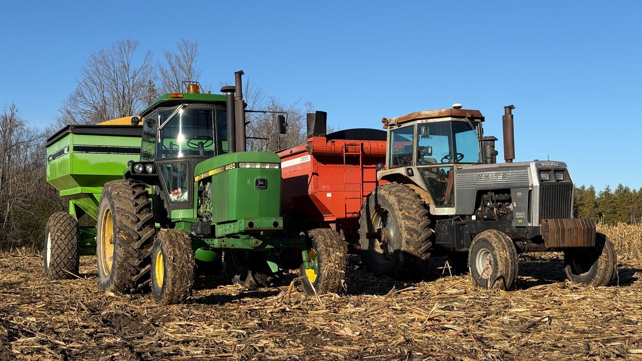 2025 Corn Harvest Gets Cold