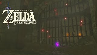 DUNGEON OF HORRORS  The Legend of Zelda: Breath of the Wild