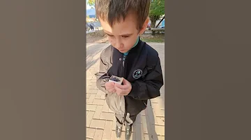 Егор и Жучок (эндемик жужелица крымская)
