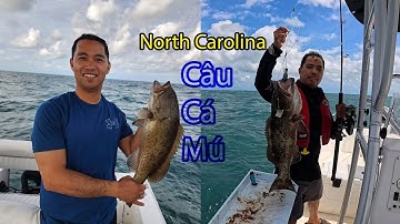 Biển Động Sóng Cao – Anh Em Vẫn Chiến Tới Cùng - Câu Cá Mú