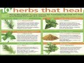 M.Reck & Am!nah Live Builds On Herbals Remedies/Health Etc.