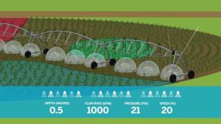 Famous Irrigate-IQ Optimal Flow VRI Wealth