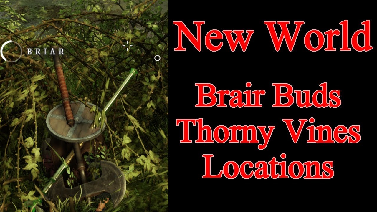 New World Briar Buds, Thorny Vines, locations for weak mana potion