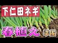 #4.下仁田ネギ！春の植えつけ準備【土作り】【苗のポイント】【ネギ坊主】【肥料】【土壌酸性】【家庭菜園】