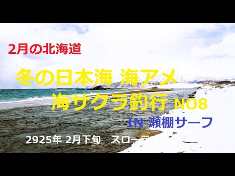 2025年 2月下旬 冬の日本海海アメ 海サクラ釣行NO8～IN瀬棚サーフ