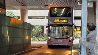 KMB 238M 荃灣（濱景花園）→荃灣站［全程］