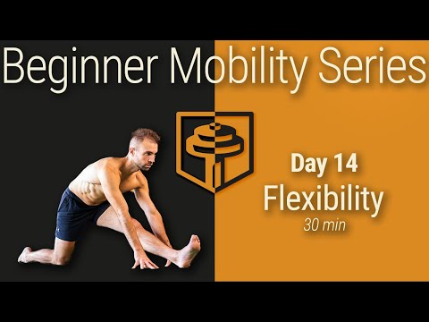 Day 14: Full Body Flexibility | 30 Minutes | Beginner Mobility Series