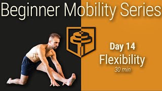 Day 14: Full Body Flexibility | 30 Minutes | Beginner Mobility Series