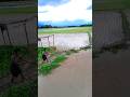 Fishing video